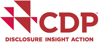 CDP问卷,提交截止日期,CDP