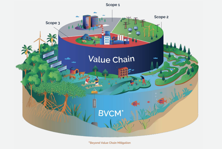企业减排,碳抵消,减排,BVCM